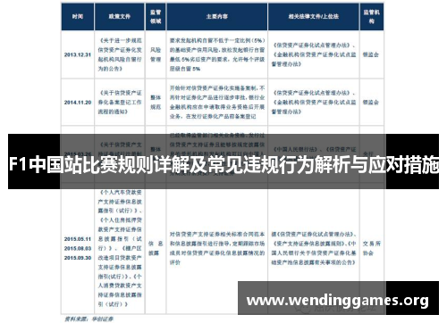 F1中国站比赛规则详解及常见违规行为解析与应对措施