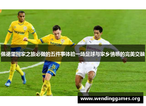 佩德里回家之旅必做的五件事体验一场足球与家乡情感的完美交融 佩德里回家之旅必做的五件事体验一场足球与家乡情感的完美交融