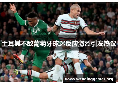土耳其不敌葡萄牙球迷反应激烈引发热议 土耳其不敌葡萄牙球迷反应激烈引发热议