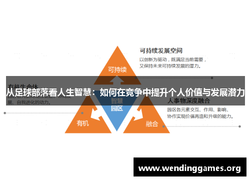 从足球部落看人生智慧:如何在竞争中提升个人价值与发展潜力 从足球部落看人生智慧:如何在竞争中提升个人价值与发展潜力